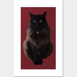 waffle the cat Posters and Art